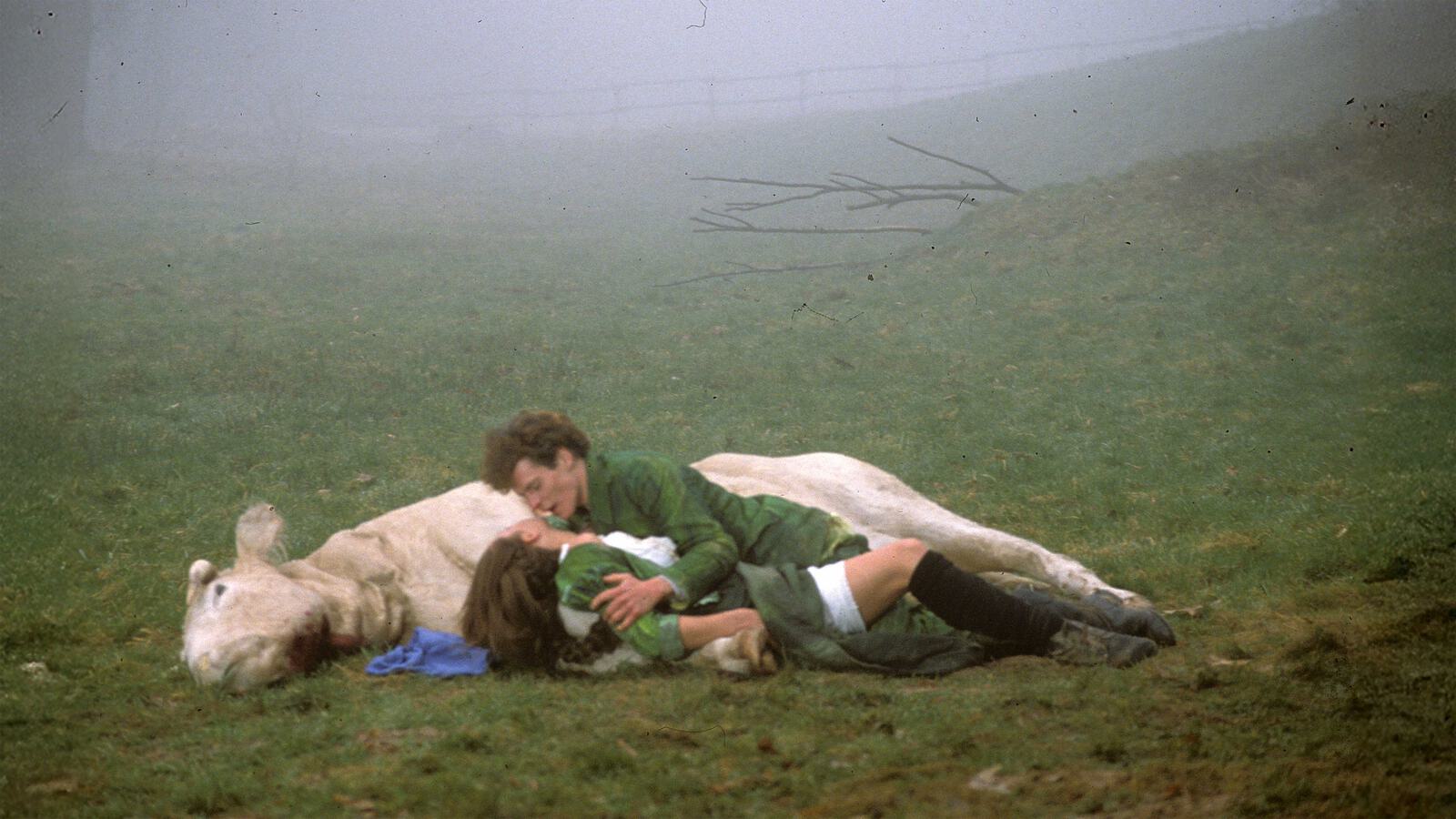 Franta tote Kuh 5000